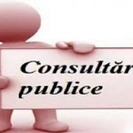 Thumb small consult publice